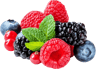 pickwick forest fruits resized  1   1   1