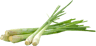pickwick lemon grass resized  1