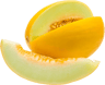 pickwick melon resized  1   1