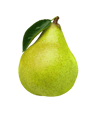 pickwick pear resized  1